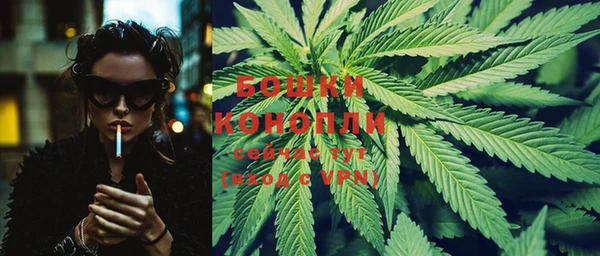 2c-b Рославль